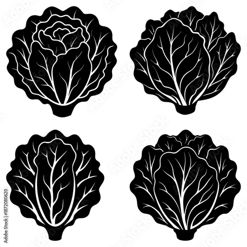 Four black cabbage leaf silhouettes on white background vegetable plant