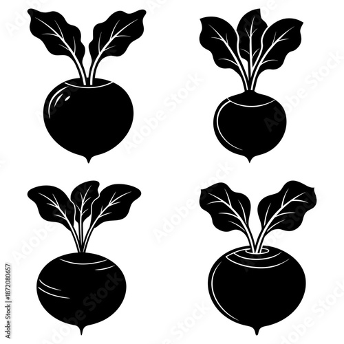 Four black turnips with green leaves on white background vegetable plant