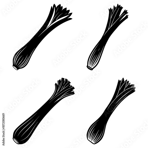Four black and white spring onion on transparent background vegetable green onion