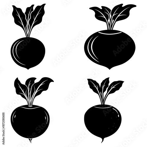 Four black turnip vegetable with leaves on white background