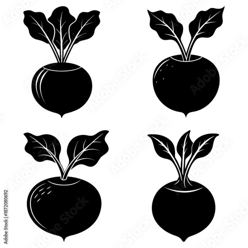 Four Turnip Plant Silhouettes on White Background vegetable black