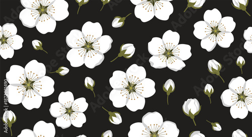 Seamless floral pattern showcasing white cherry blossoms and buds scattered across a dark black background for elegant design.