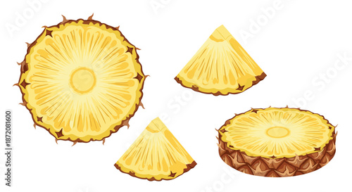 Fresh pineapple fruit set including a whole slice segments and a cross section showing the juicy yellow texture and skin.
