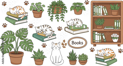 Adorable cartoon cats sleeping on books with houseplants and bookshelf illustration