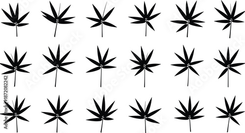 leaf, silhouette, botanical, compound, foliage, nature, plant, shape, black, white, icon, illustration, vector, design, symbol, pattern, graphic, stem, radial, classification