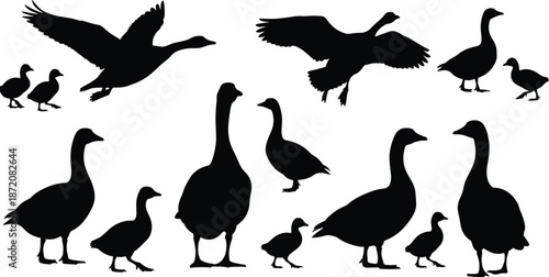 Goose silhouettes, black waterfowl set, flying geese poses, farm bird collection, wildlife lake animals, nature countryside illustration, vector clipart pack