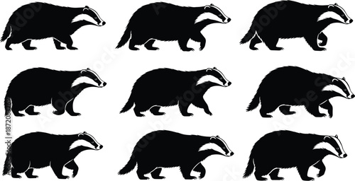 Badger silhouettes, black badger set, wild animal poses, forest mammal collection, wildlife illustration pack, nature design elements, vector clipart bundle