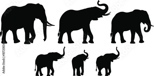 Elephant silhouettes set, wild African animal poses collection isolated on white background vector illustration design for safari wildlife concepts