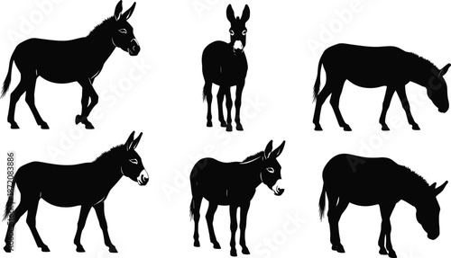 Donkey silhouettes set, farm animal poses collection isolated on white background vector illustration design for agriculture rural concepts