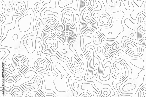 A detailed black and white topographic map showing complex terrain features