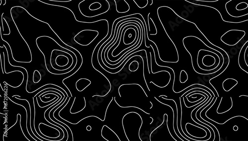 Intricate black and white topographic patterns
