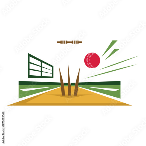 Cricket ball hits the wicket