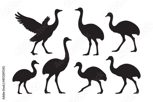 Collection of various emu bird silhouettes in different poses for design elements