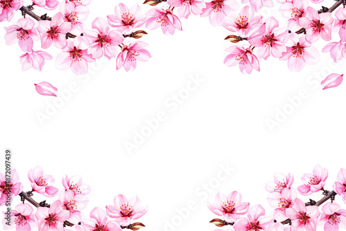 Spring Japanese Cherry blossom flower background vector. Sakura floral Wallpaper design of elegant watercolor cherry blossom flower, branch. Illustration for banner, wall decoration, backdrop, ads.