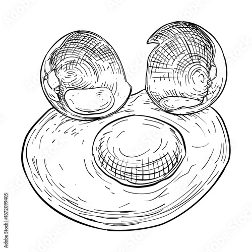 broken egg yolk vector line art hand drawn illustration