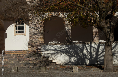 The shadow of the tree is clear on the cathedral wall.성당 벽에 나무그림자가 뚜렸합니다.