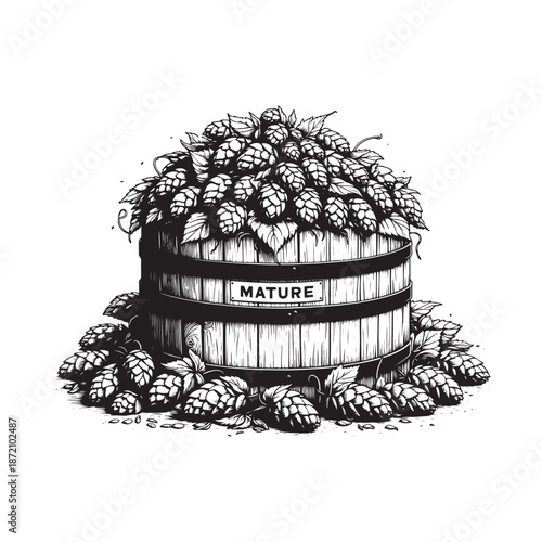 Mature hops in a wooden container