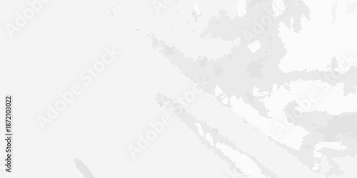 Abstract grayscale image featuring indistinct shapes and blurred textures