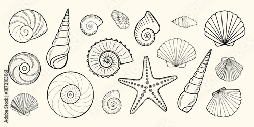 A collection of beautifully illustrated seashells and a starfish in black and white