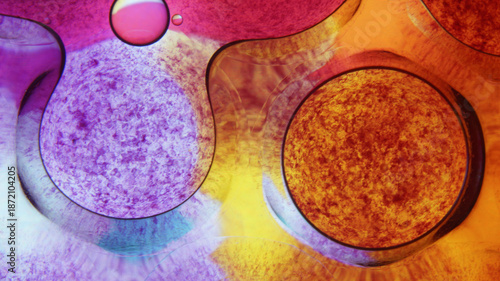abstract background with bubbles, Vibrant Abstract Oil and Water Bubbles with Gradient Colors Background image