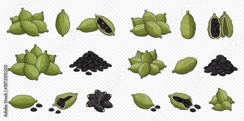 Set of green cardamom pods and black seeds, whole and opened, isolated on transparent background.