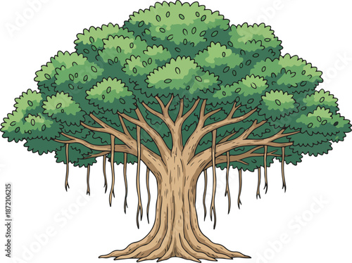 A single green oak tree with lush summer foliage and branches is isolated on a white background as a symbol of nature, growth, and ecology