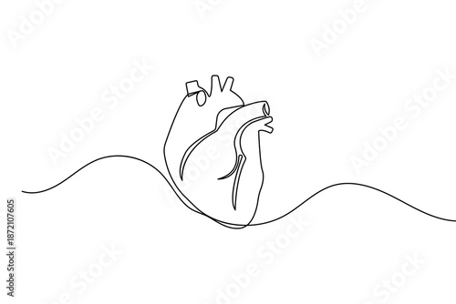 Continuous one line drawing of a human heart for minimalist biology and cardiology design