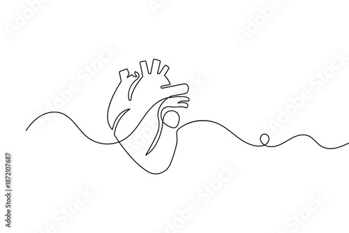 Continuous one line drawing of a human heart for minimalist biology and cardiology design