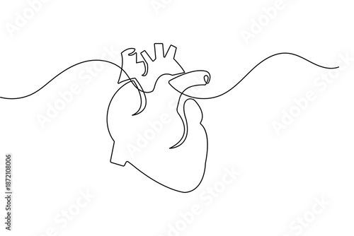 Minimalist anatomical heart single line art for medical and healthcare concept vector illustration