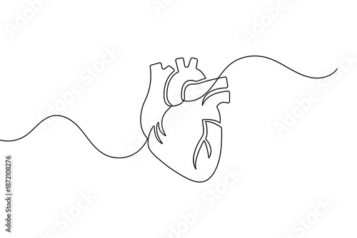 Minimalist anatomical heart single line art for medical and healthcare concept vector illustration