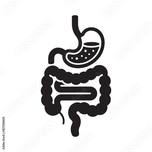 Black and white illustration of human digestive system