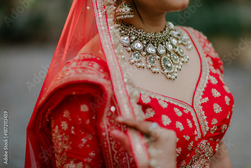 Elegant Indian Bride Adorned in Traditional Red and Gold Bridal Attire