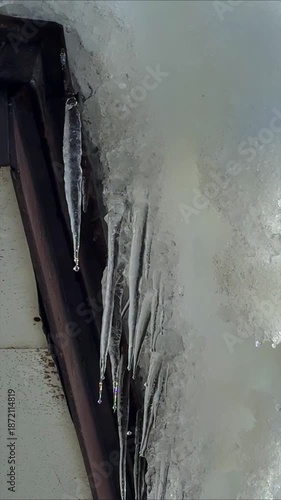 屋根のツララ　氷柱　冬　雪　氷　滴り落ちる水滴