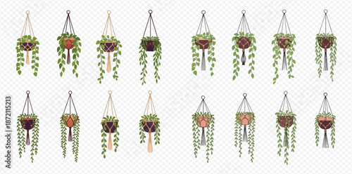 Set of macrame hanging planters with various green houseplants, isolated on transparent background.