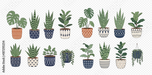 Collection of various house plants in decorative pots on a transparent background, perfect for home decor and botanical themes.