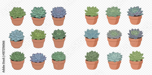 Collection of various potted succulent plants in different shades of green and blue, perfect for home decor or botanical designs.