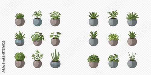 Set of various potted houseplants, including succulents, cacti, and leafy greens, in decorative pots, isolated on a transparent background.