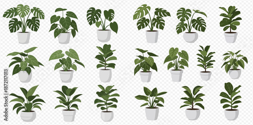 Collection of various potted houseplants with green leaves, perfect for interior decoration and home gardening concepts.