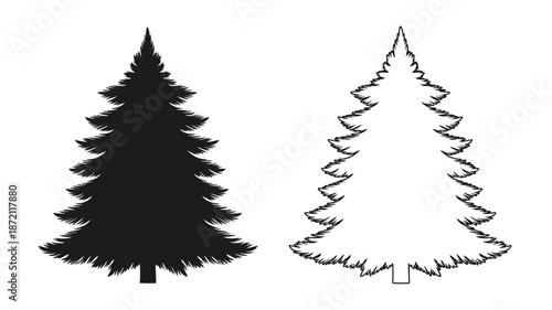 Two evergreen trees in contrasting styles a bold silhouette