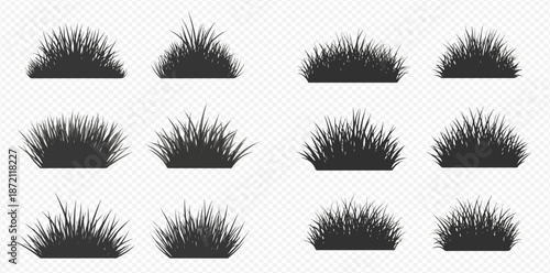 Set of realistic grass silhouettes in various shapes and sizes on a transparent background.