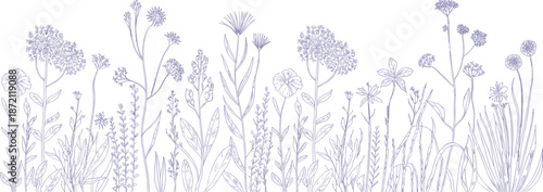 Minimalist wildflower meadow line art illustration with delicate botanical plants elegant horizontal border for wallpaper branding stationery design