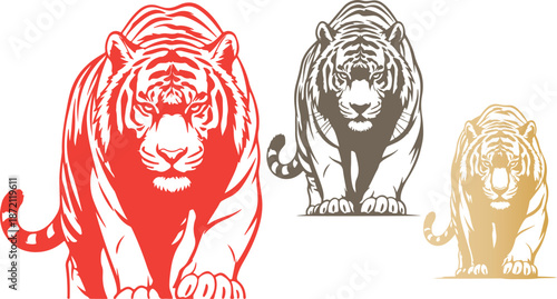Collection of three stylized tiger graphic illustrations featuring distinct colors red brown and gold representing strength and zodiac symbolism on transparent background. on transparent background