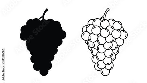Comparing a bunch of grapes with its dark striking silhouette