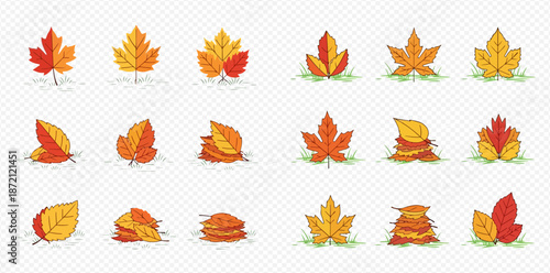 Autumn leaves set with various fall foliage designs and colors, perfect for seasonal decoration and graphic resources.