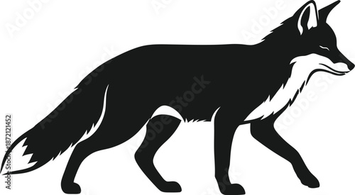 Elegant fox silhouette on nature, wildlife and animal conservation themes