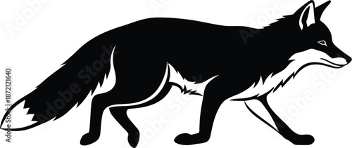 Sleek black fox illustration, wildlife animal on the prowl, hunting