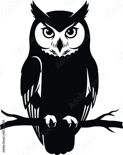 Black owl perched on a branch, nocturnal bird on a tree limb
