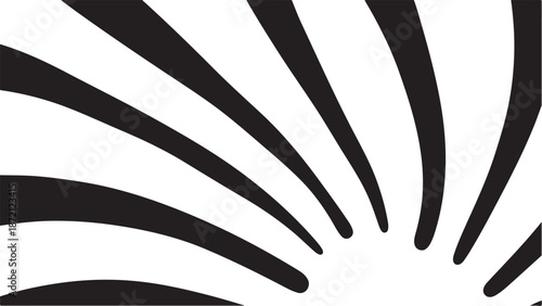 Black and white abstract sunburst design element