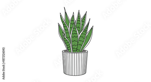 Illustration of a green snake plant in a white striped ceramic pot showing a minimalist and modern home decor style for plants.