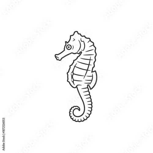 Detailed Black and White Seahorse Illustration.